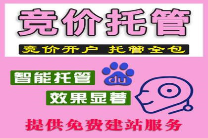 案例教学：轻松掌握竞价推广方法